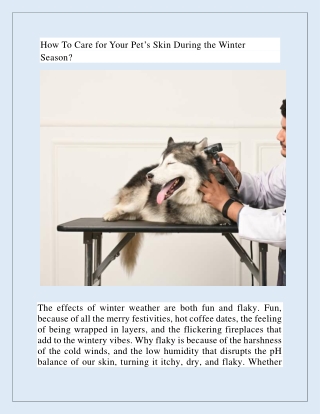 How To Care for Your Pet’s Skin During the Winter Season