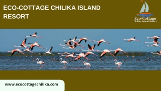 Premium Eco-Cottage Chilika Island Resort