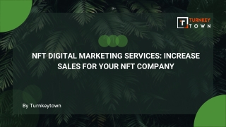 NFT Digital Marketing Services Increase Sales for Your NFT Company