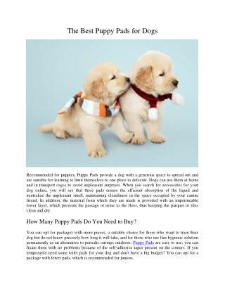The Best Puppy Pads for Dogs