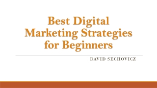 Best Digital Marketing Strategies for Beginners- David Sechovicz