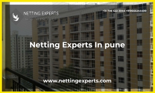 Netting Experts In pune