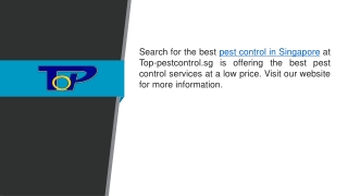 Find The Best Pest Control In Singapore   Top-Pest control