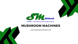 Mushroom Plant Setup