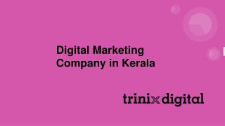 Digital Marketing Company in Kerala