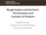 Rough Games and the Brain: The Structure and Function of Proteins