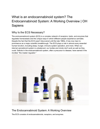 What is an endocannabinoid system_ The Endocannabinoid System_ A Working Overview _ OH Sapiens