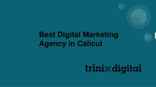 Best Digital Marketing Agency in Calicut