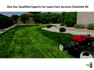 Hire Our Qualified Experts For Lawn Care Services Charlotte NC