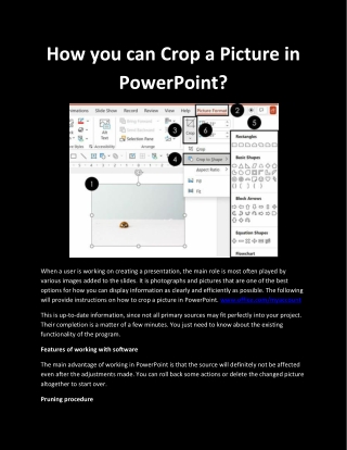 How you can Crop a Picture in PowerPoint