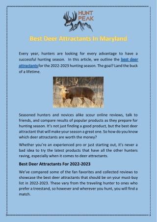 Best Deer Attractants In Maryland
