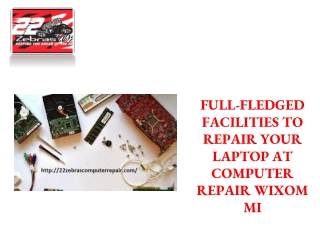 COMPUTER REPAIR WIXOM IS A REAL PROTECTION TO YOUR DELICATE DEVICES