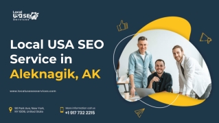 Local USA SEO Service in Aleknagik, AK