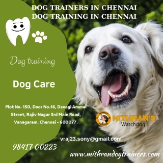 Dog Trainers In Chennai
