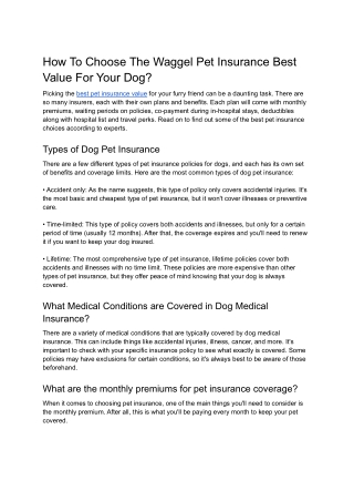 Choose The Waggel Pet Insurance Best Value For Your Dog