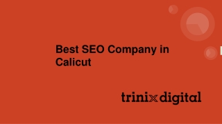 Best SEO Company in Calicut