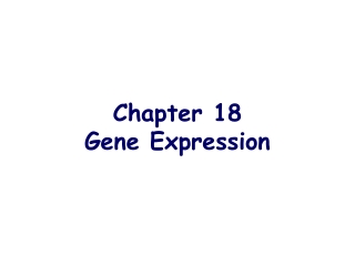 Chapter 18 Gene Expression