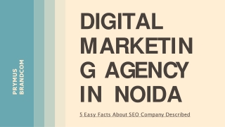 5 Easy Facts About SEO Company Described