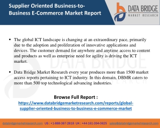 Supplier Oriented Business-to-Business E-Commerce Market