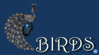 Birds25