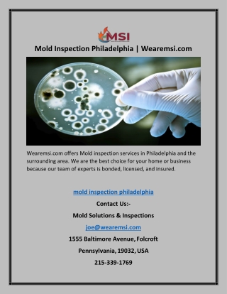 Mold Inspection Philadelphia | Wearemsi.com
