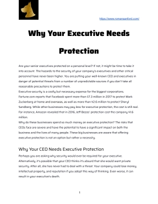 Why Your Executive Needs Protection