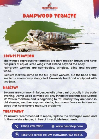 Tumwater Pest Control peststop