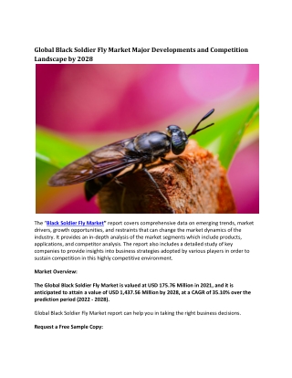 Global Black Soldier Fly Market Major Developments and Competition Landscape