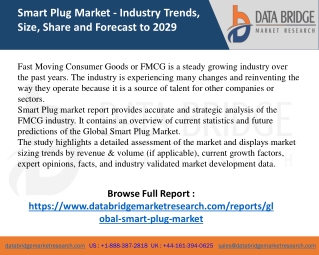 Smart Plug Market