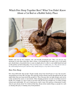 Which Pets Sleep Together Best What You Didn't Know About a Cat Bed or a Rabbit Safety Place