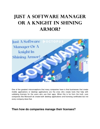 Just a Software manager or a knight in shining armor