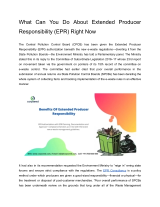 What Can You Do About Extended Producer Responsibility (EPR) Right Now