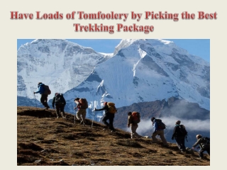 Have Loads of Tomfoolery by Picking the Best Trekking Package