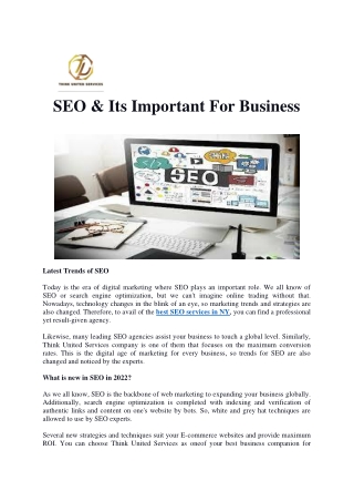 SEO Service Provider in USA