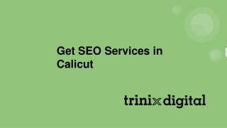 Best SEO Company in Kerala