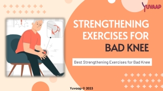 Best Strengthening Exercises For Knee Pain