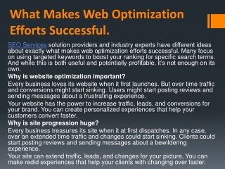 What Makes Web Optimization Efforts Successful.