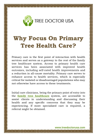 Why Focus On Primary Tree Health Care
