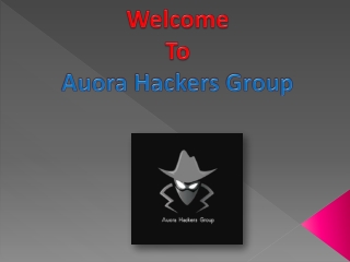 aurorahackersgroup.com