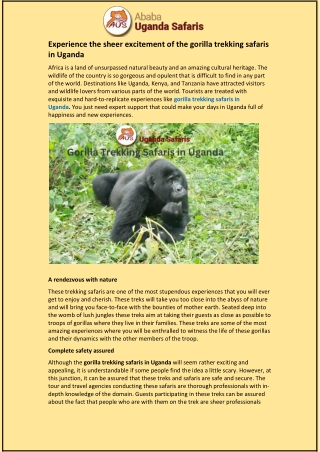 Experience the sheer excitement of the gorilla trekking safaris in Uganda