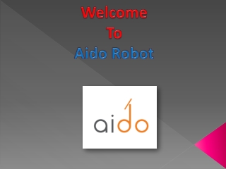 aidorobot.com