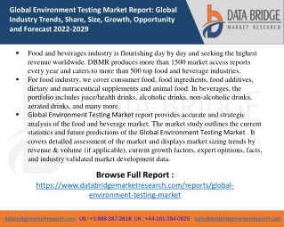 Environment Testing Market report
