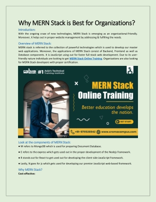 Why MERN Stack is Best for Organizations