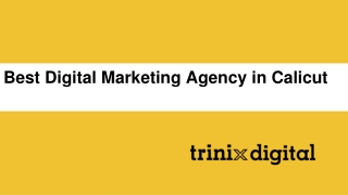 Best Digital Marketing Agency in Calicut