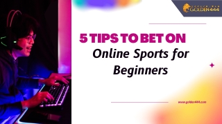 5 Tips to Bet on Online Sports for Beginners - Golden444