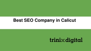Best SEO Company in Calicut