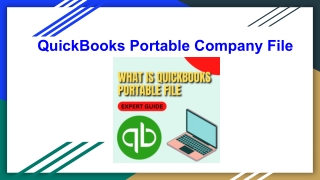 What is QuickBooks Portable Company File?