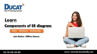 Learn Components of ER diagram in DBMS