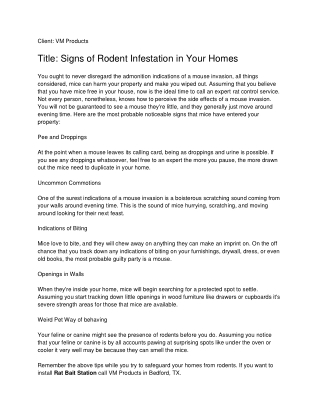 Signs of Rodent Infestation in Your Homes_ VM Products