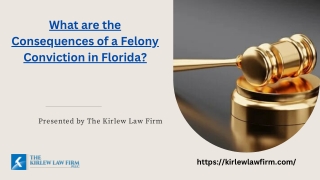 What are the Consequences of a Felony Conviction in Florida